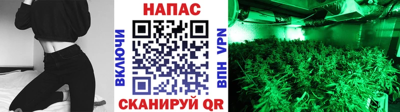 купить наркоту  блэк спрут зеркало  Каннабис AK-47  Любим 